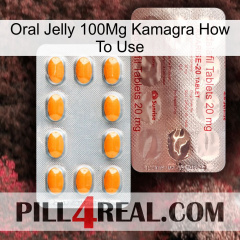 Oral Jelly 100Mg Kamagra How To Use new13